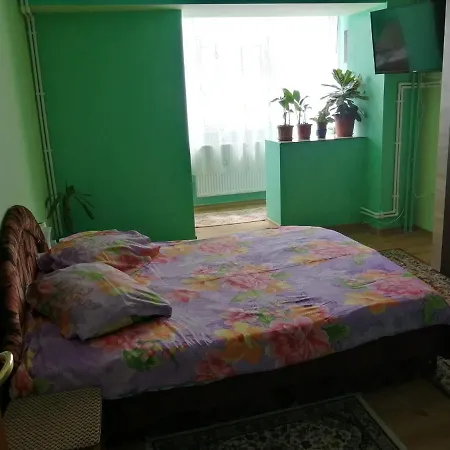 Rodica Apartment *